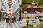 Melbourne Photography Tours